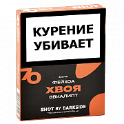 ����� ��� ������� DarkSide - SHOT - ���� - ������ - �������� (25 ��)