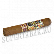 ������ XO - Robusto (1 ��)