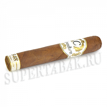 ������ Capadura - 848 Series - Robusto (1 ��.)