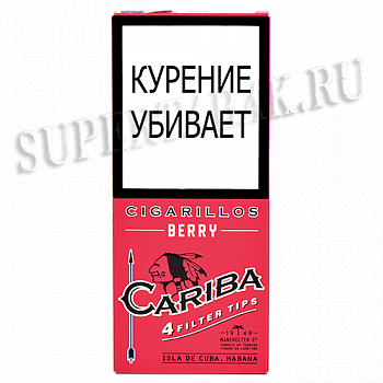  Cariba Wood Tip Berry - 4 .