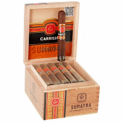 ������ E.P. Carrillo - Essences Sumatra Robusto (1 ��.)