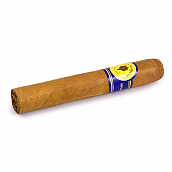  Santa Damiana Classic - Robusto (1 .)