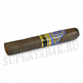 ������ Perdomo - Reserve 10 Year Anniversary Box-Pressed - Maduro - Super Toro  (1 ��.)