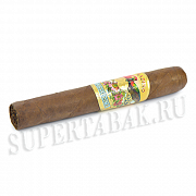 ������ Paradiso - Quintessence Robusto (1 ��)