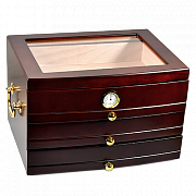 �������� ��� ����� Aficionado - Regent (75 �����)