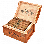 ������ Oscar Valladares - Leaf Connecticut Toro (1 ��.)
