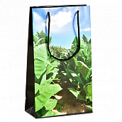 ���������� ����� - Vega de tabaco (Habanos) �� 5 �����