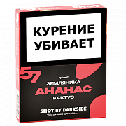 ����� ��� ������� DarkSide - SHOT - ������ - ��������� - ������ (25 ��)