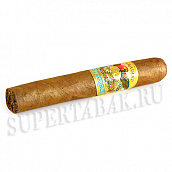 ������ Paradiso - Quintessence Majestic (1 ��)