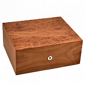 �������� ��� ����� Adorini - Catania Elm Bur Medium Deluxe (75 �����) - 16693