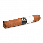  Sencillo Platinum - Robusto (1 .)