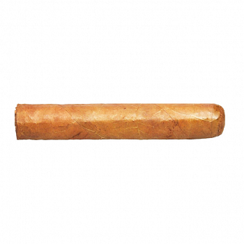 ������ Horacio - Esteli Club 3 (1 ��.)