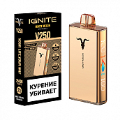 ���� Ignite V250 Gold (25.000 �������) - Minty Melon - (1 ��.)